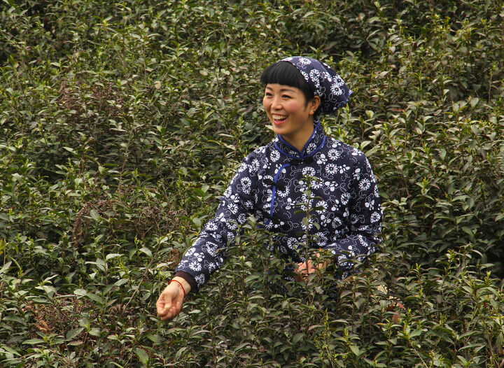 霓虹倒影